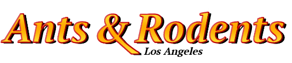 Los Angeles Ant Exterminator & Rodent Control Company Logo